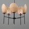 Maxim Lighting Maldives 5-Light Chandelier, Black 12605NABK - alternate 2